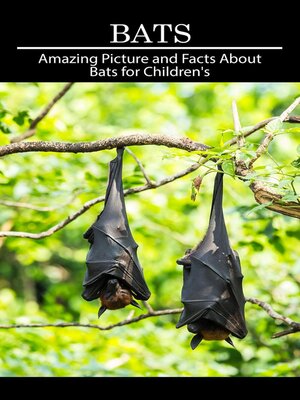 cover image of Bats